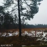 Ирония
